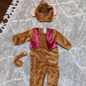 Disney Halloween costume - Abu from Aladdin